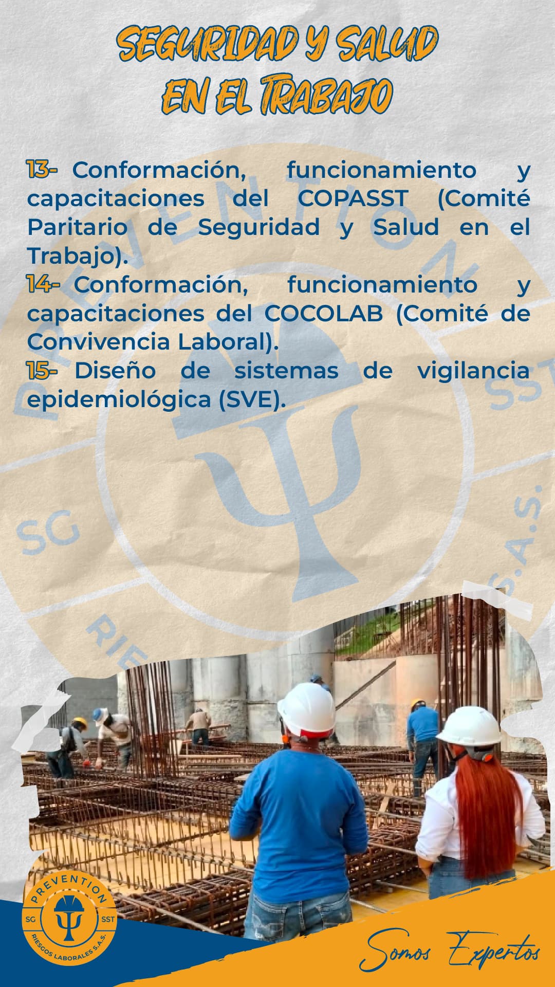 Portafolio de servicios Prevention Riesgos Laborales, lámina 9