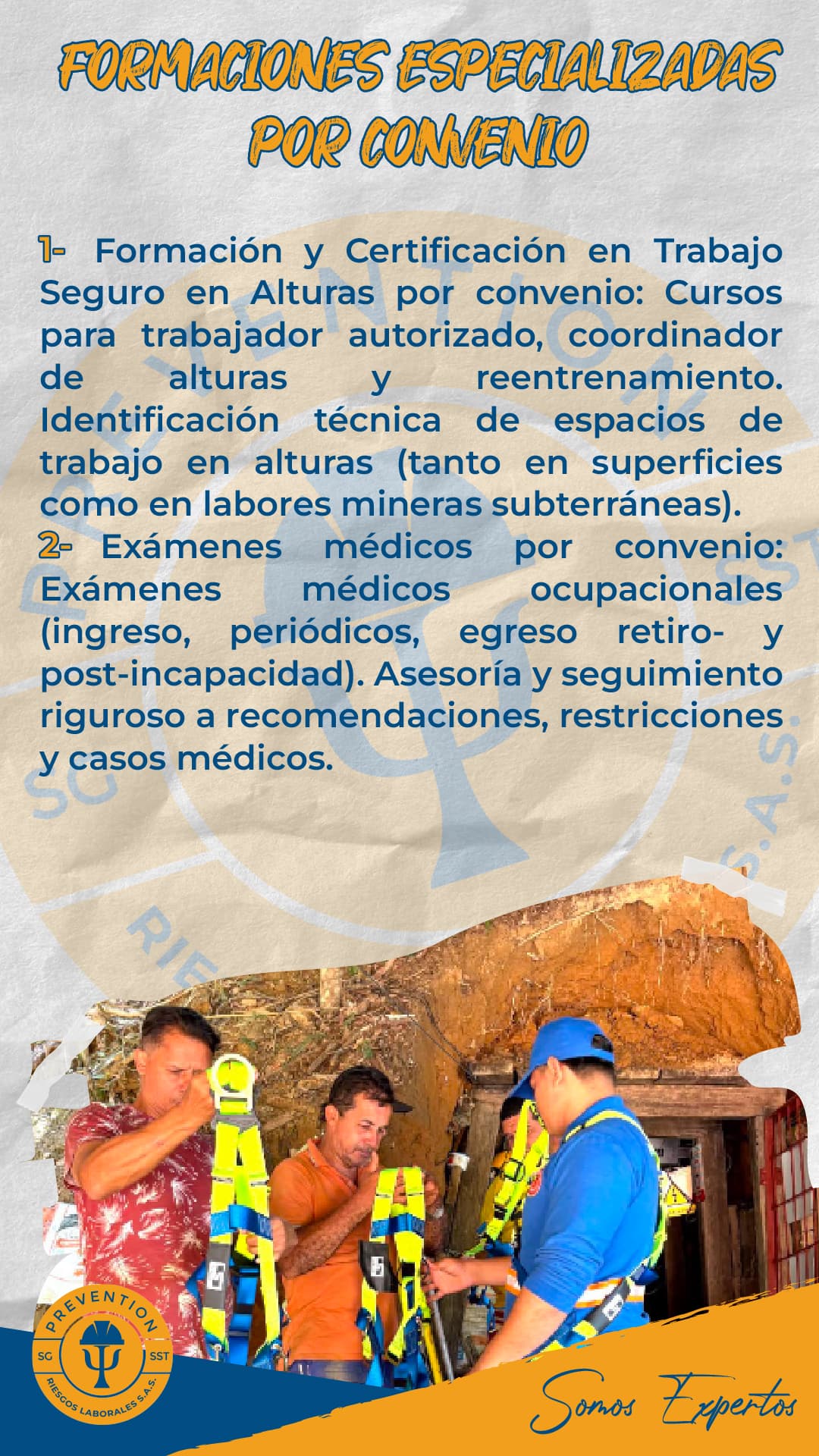 Portafolio de servicios Prevention Riesgos Laborales, lámina 15